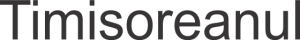Timisoreanul Website